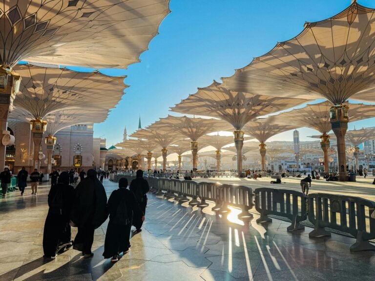 pexels rushdi fatani 782816372 35241867