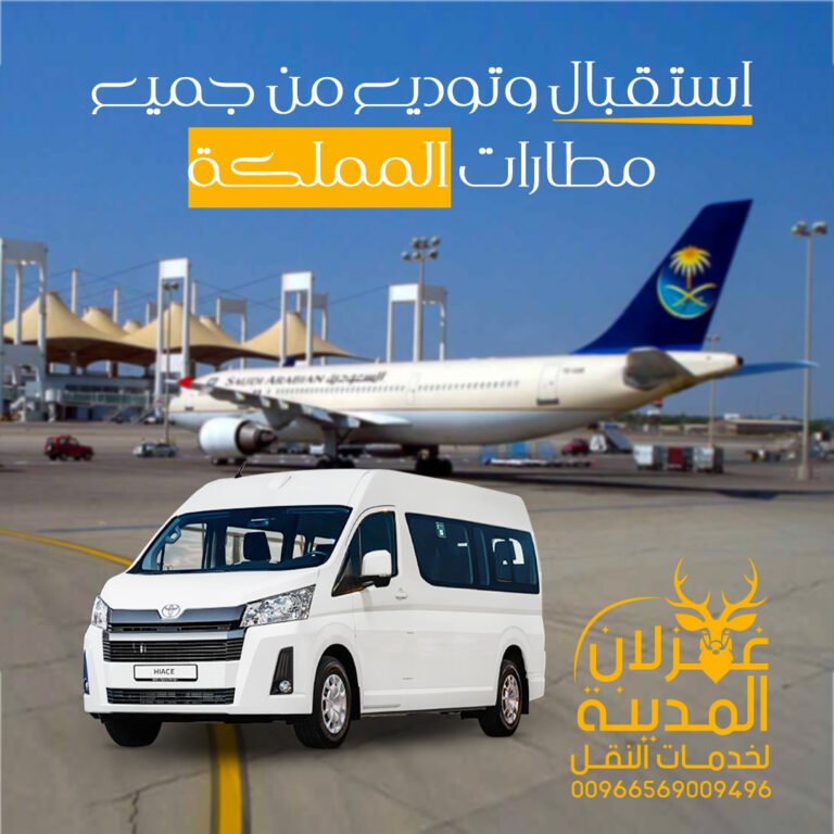 استقبال من المطارات copy